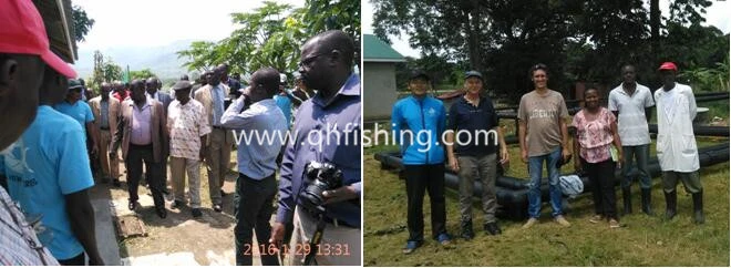 Tilapia Fish Farming Cage for Uganda Market