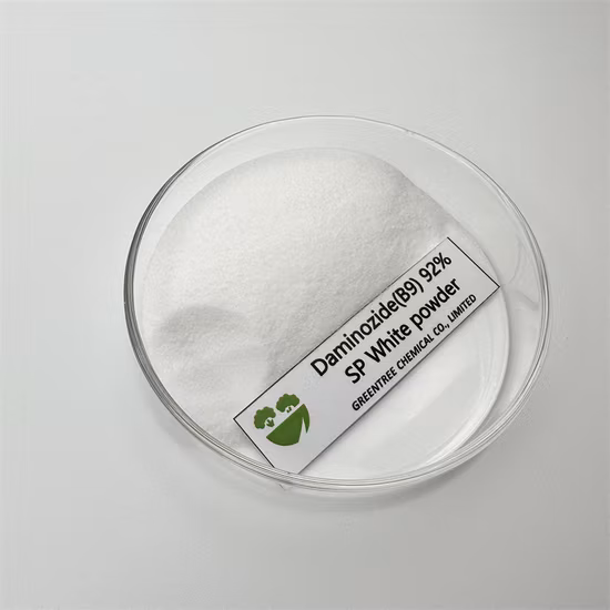 과성장 식물 호르몬 Daminozide(B9) Pgr 99% 제어