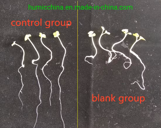 고순도 칼륨 휴민산염, 휴믹산, 유기 비료