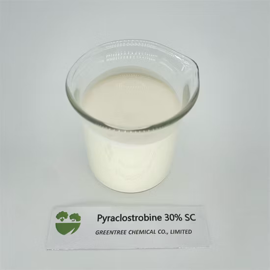 CAS 175013
