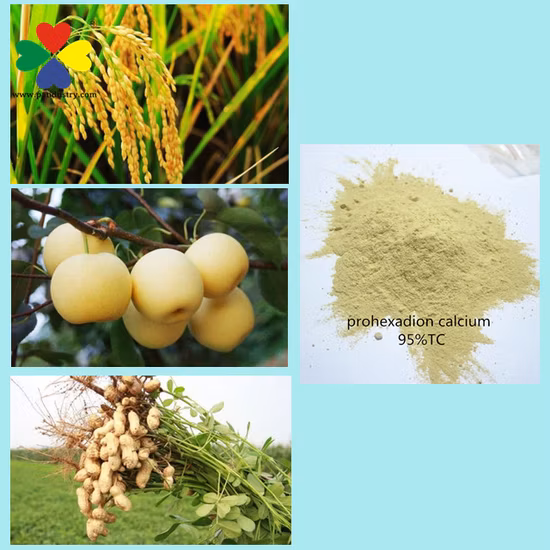 과잉 성장 프로헥사디온 칼슘 Pgr 분말 CAS 127277를 통제하십시오